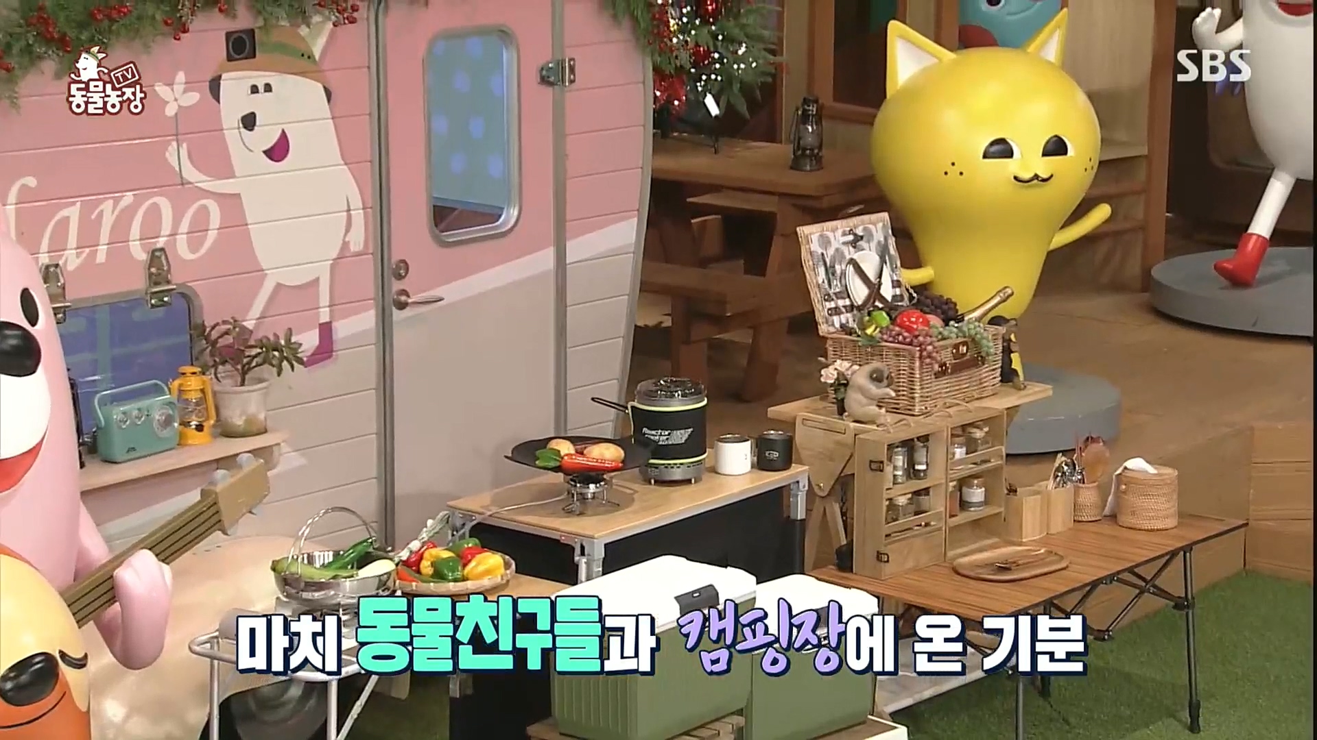 TV 동물농장.E1100.221218p.H264-F1RST.mp4_20221218_183432.534.jpg