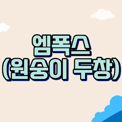  엠폭스는 무슨 병? 엠폭스(원숭이 두창) 증상과 감염 경로/예방법