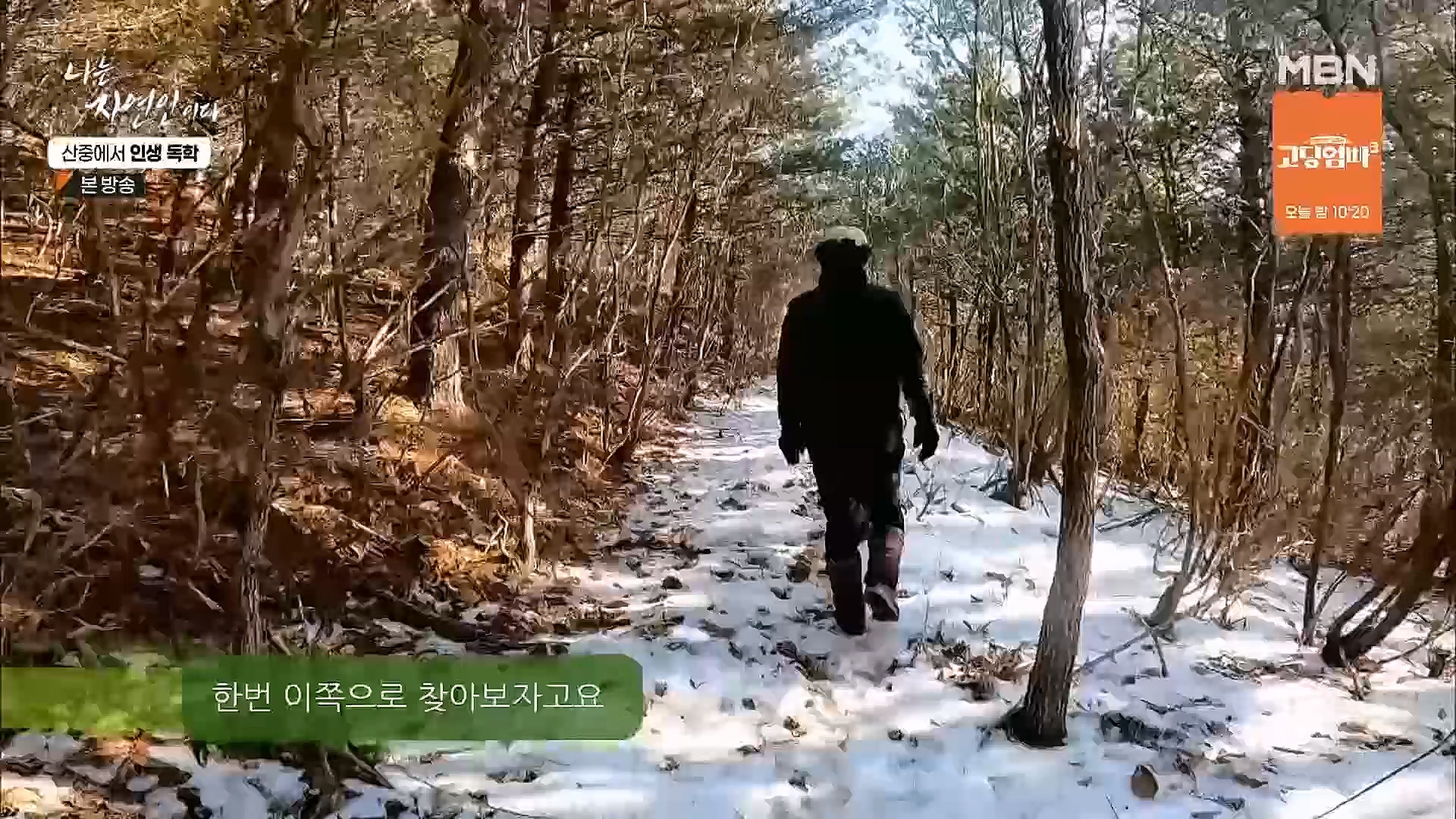 나는 자연인이다.E539.230201p.H264-F1RST.mp4_20230204_181743.869.jpg