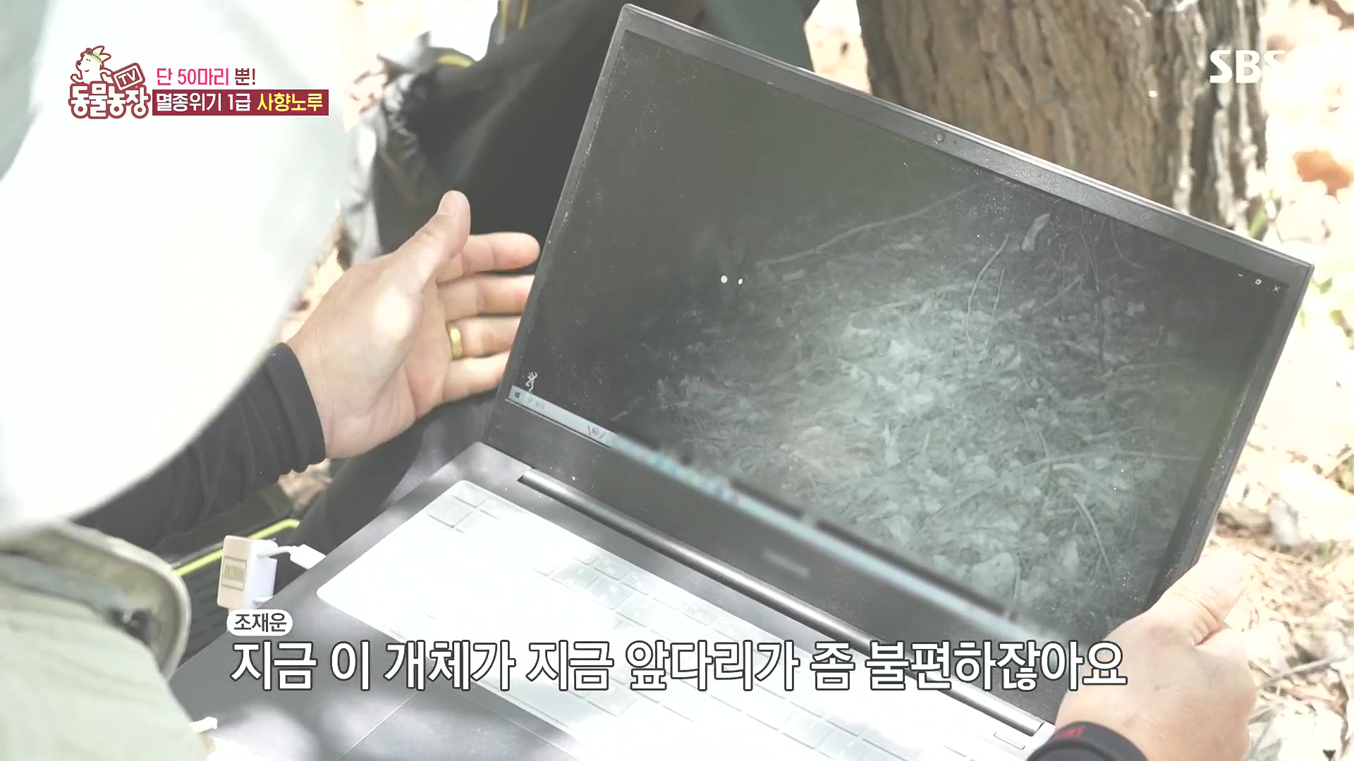 TV 동물농장.E1185.240818p.H264-F1RST.mp4_20240818_161023.213.jpg