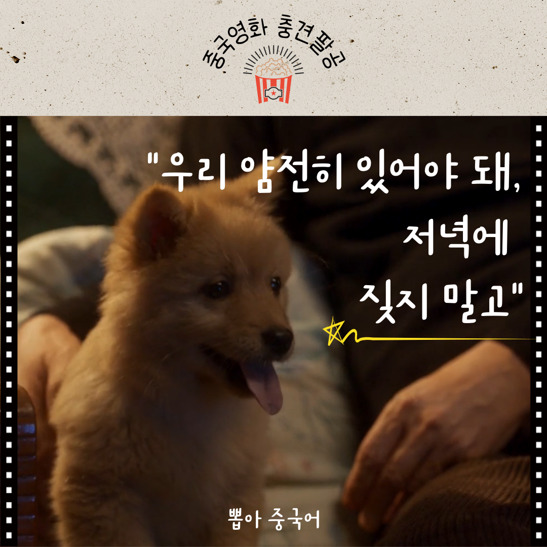 충견팔공