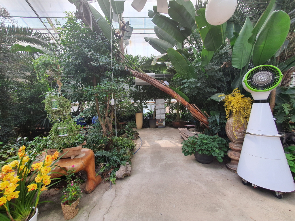 칠보식물원 안에는 열대식물이 엄청 많이 있다. 여기서 대기하며 기다리면 순번대로 불러준다.