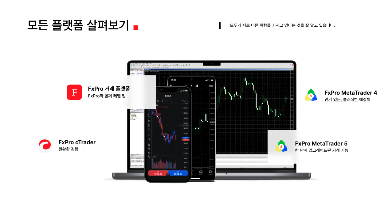 FX 브로커 먹튀(FX시티, FX렌트 사건) 무조건 불법?