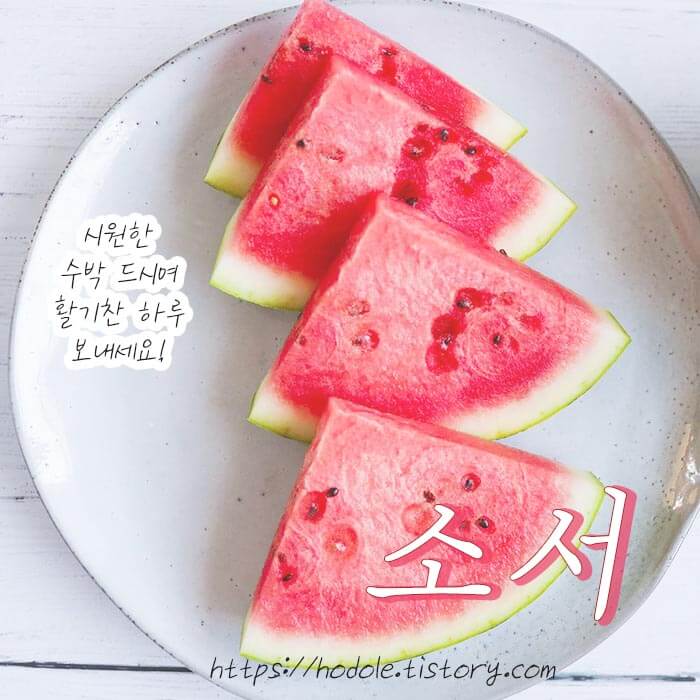 소서 이미지