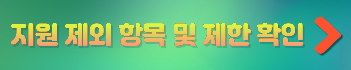 재난적의료비