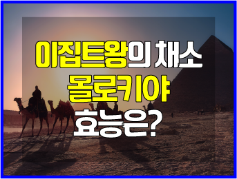  몰로키아 효능 9가지, 부작용 및 주의사항 및 먹는 법은?