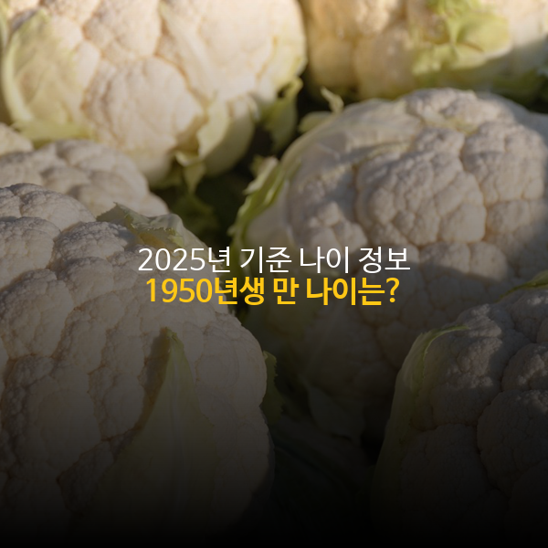 1950년생 만나이, 한국 나이 - 2025년 기준 1950년생 나이 정보