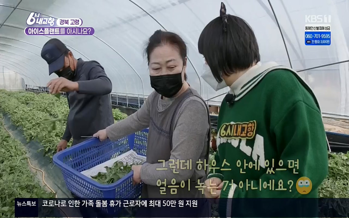 6시 내고향.E7498.220329p.H264-F1RST.mp4_20220329_184028.009.jpg