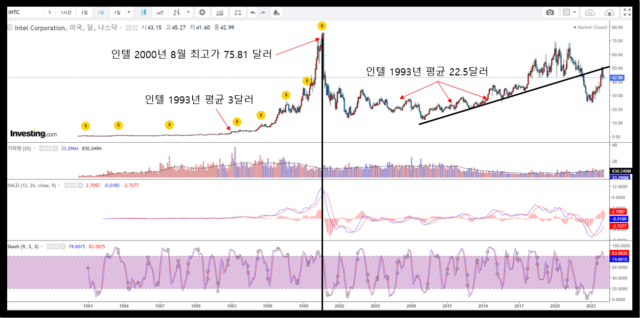 인텔 주가 움직임 전체 보기