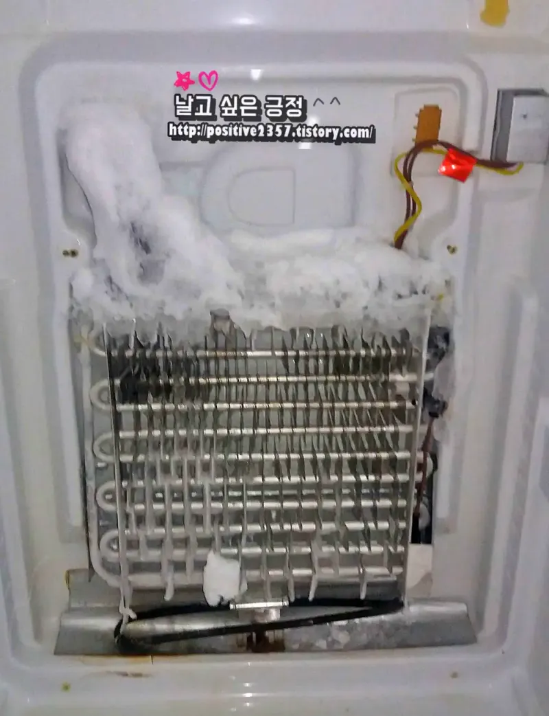 지펠 SRT686VFHB 냉각기