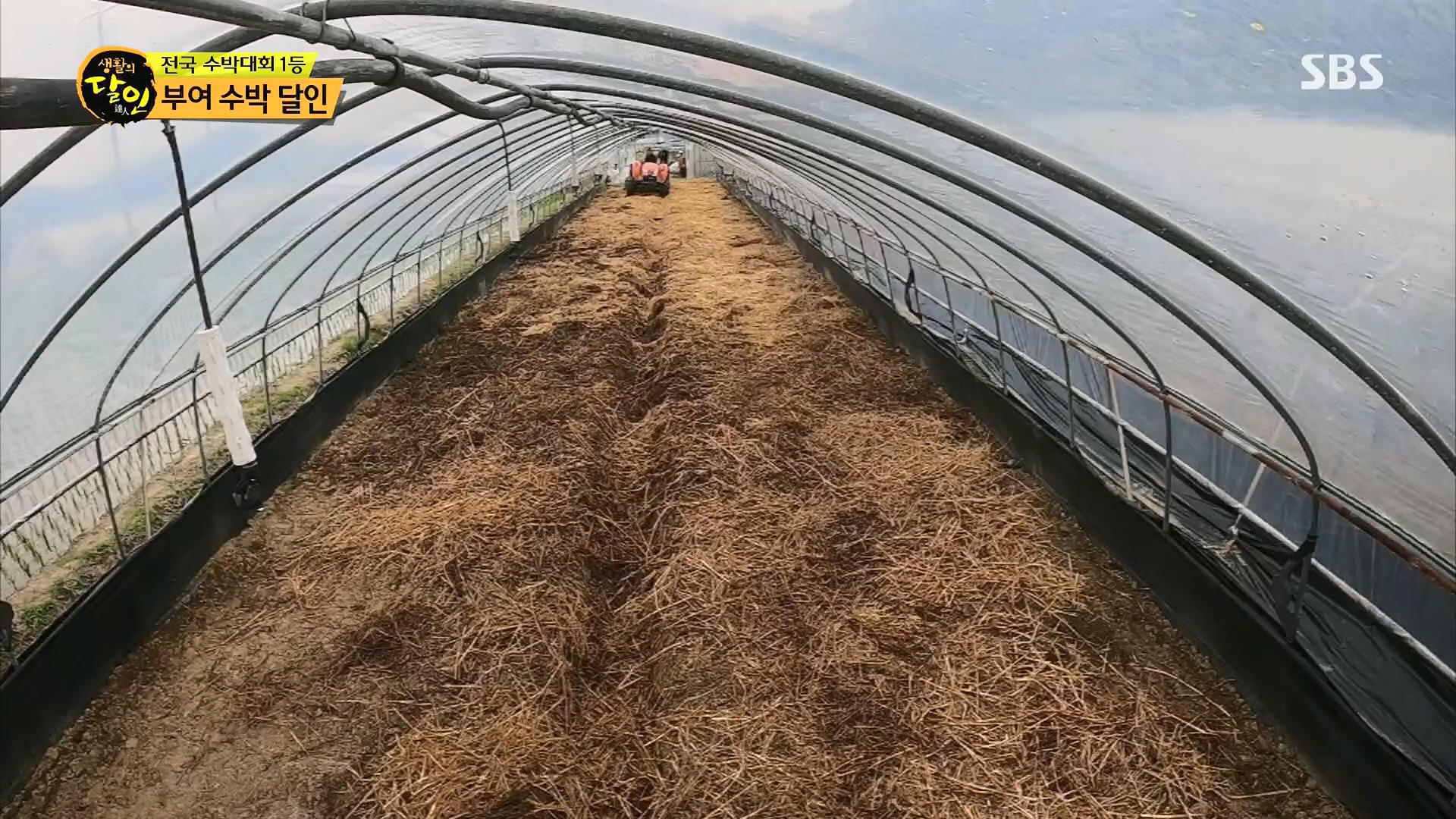 생활의 달인.E939.240610p.H264-F1RST.mp4_20240611_200852.804.jpg