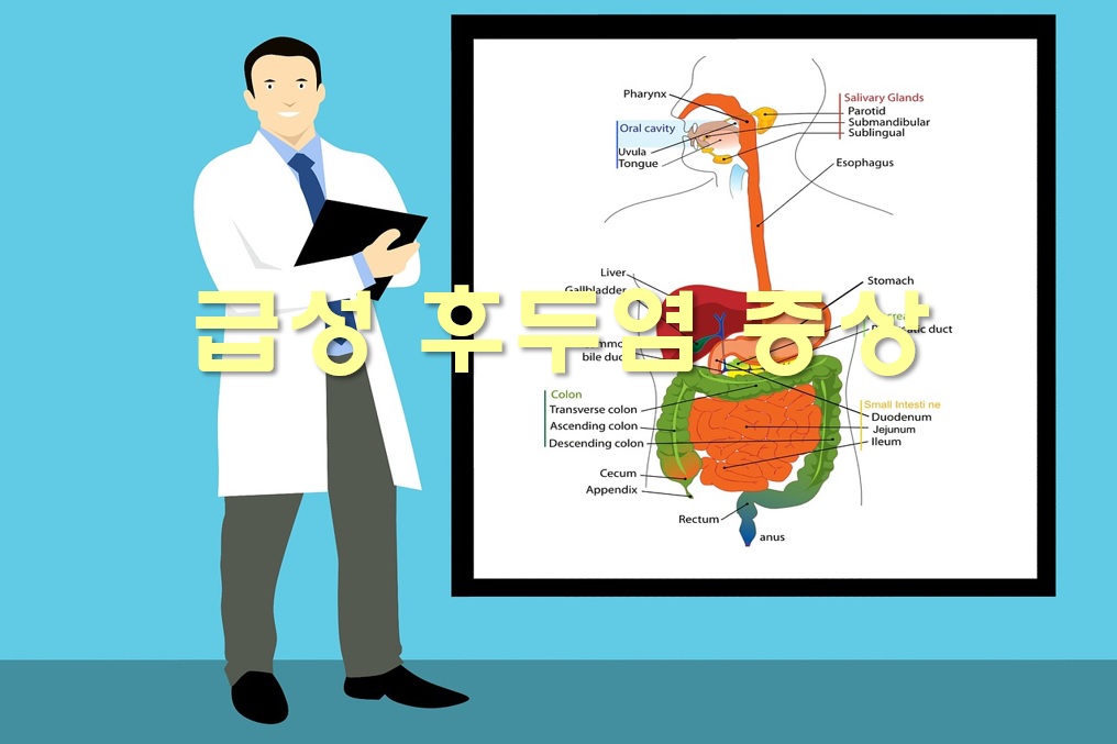 급성 후두염 증상과 후두염에 좋은 차