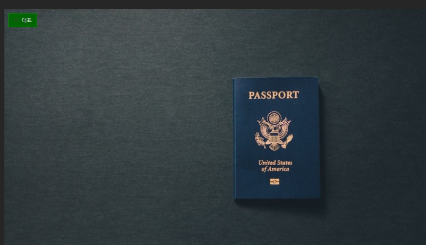  온라인 여권 재발급 신청