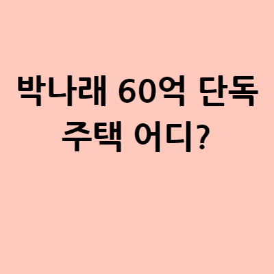  박나래 60억 단독주택 어디?