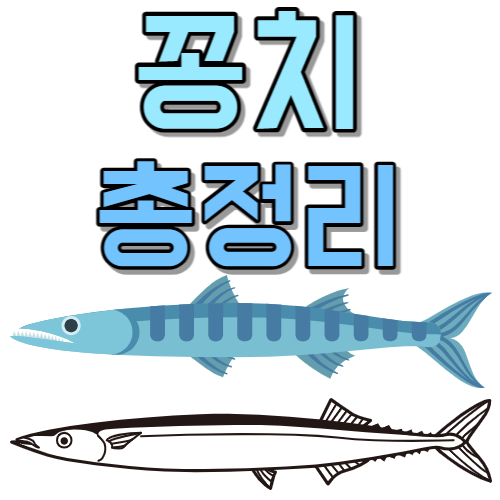  꽁치 오메가 3 덩어리 뼈에 좋은 바다 영양소 꽁치 구매 방법 제철
