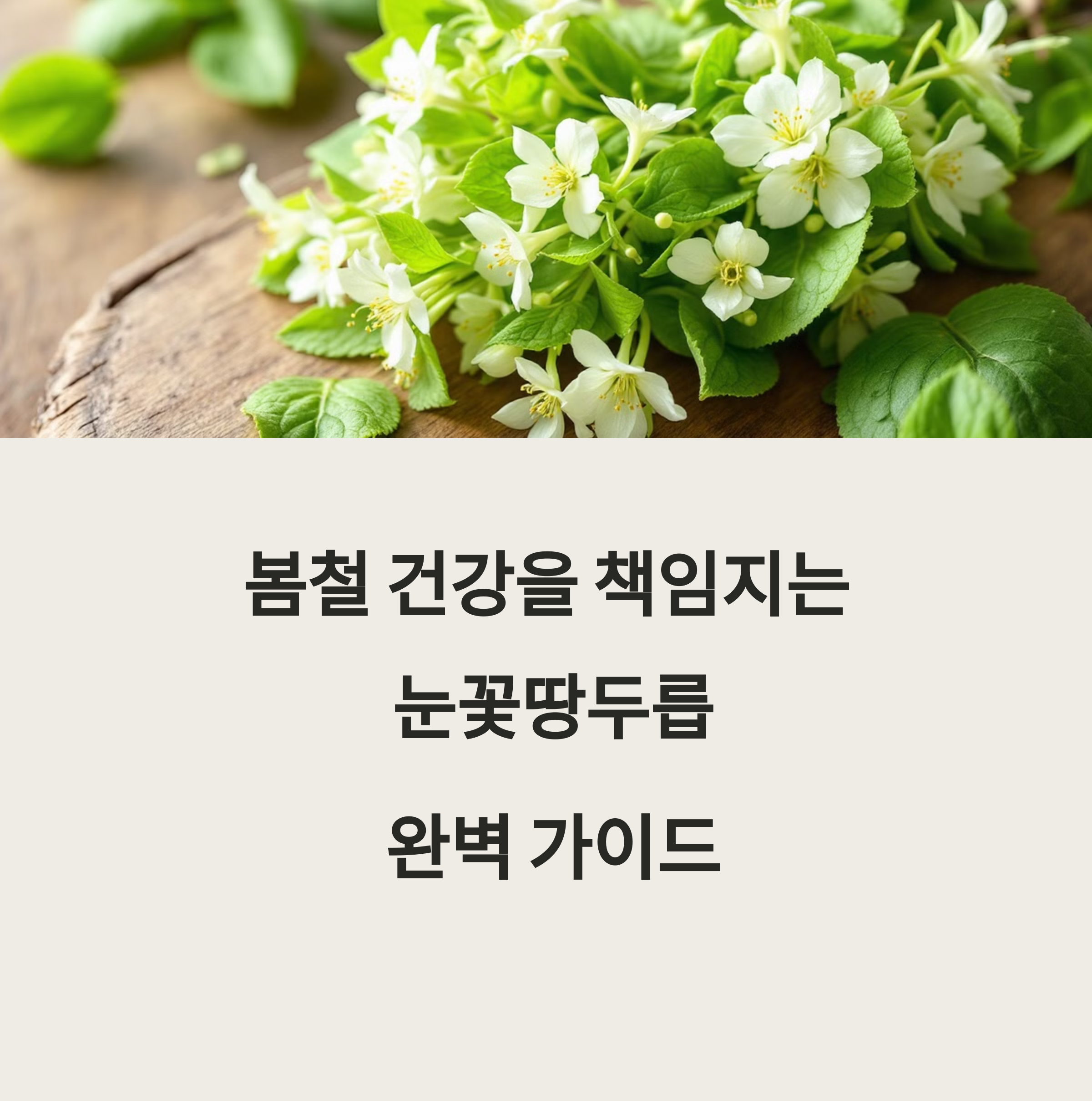 눈꽃땅두릅 먹는 법과 보관법