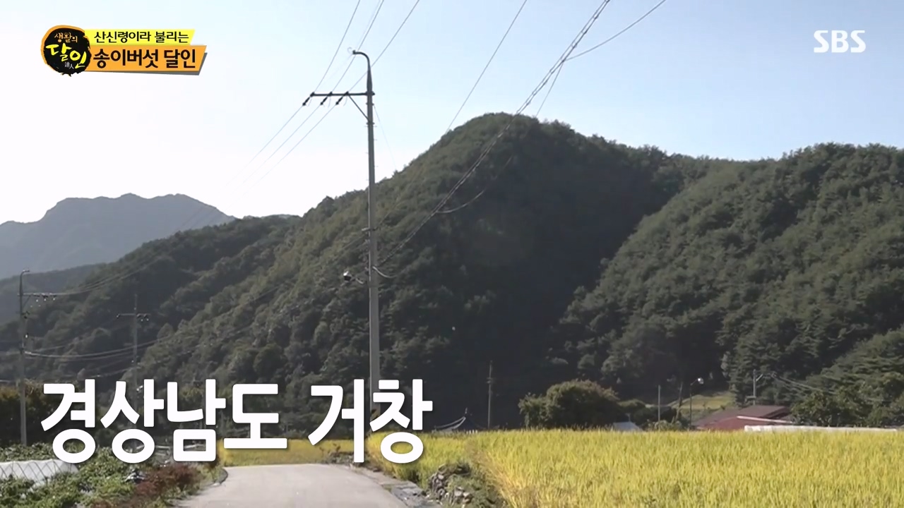 생활의 달인.E907.231010p-NEXT.mp4_20231010_202519.668.jpg