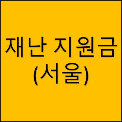 재난 지원금 서울