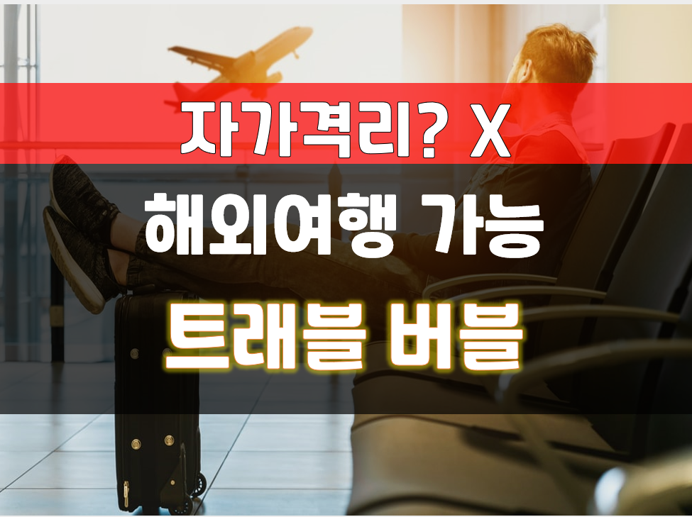  트래블 버블 해외여행 가능한 나라 (자가격리 없음)