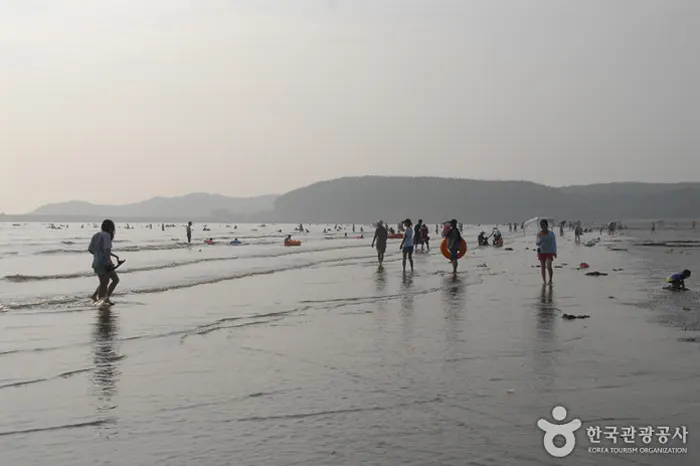 몽산포 해수욕장 전경 이미지