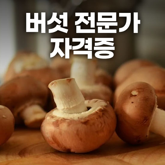버섯 전문가 자격증