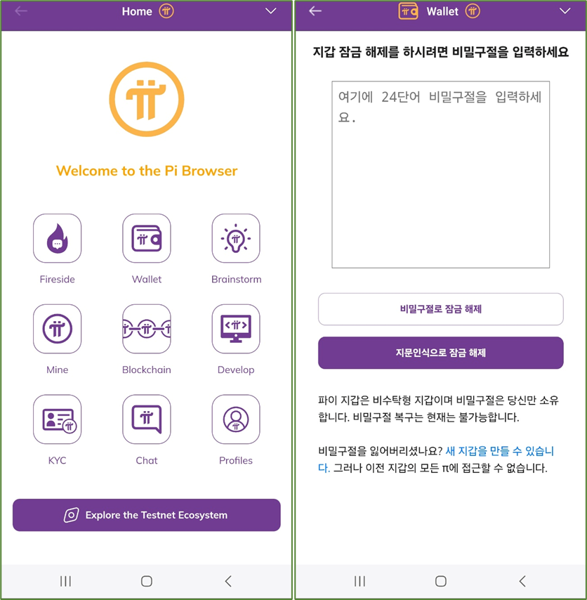 PI Browser 의 지갑 (비밀구문 잠금)