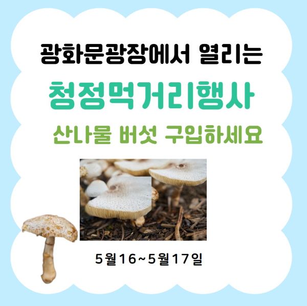 다양한 산나물들 행사 안내표지