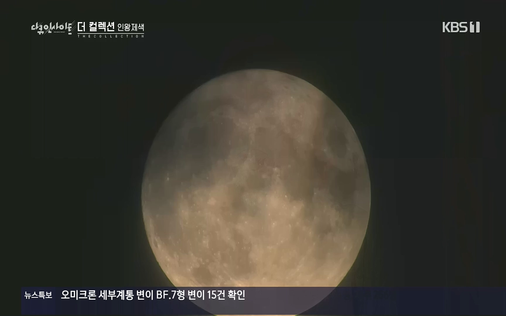 다큐 인사이트.E126.221006p.H264-F1RST.mp4_20221009_194105.428.jpg