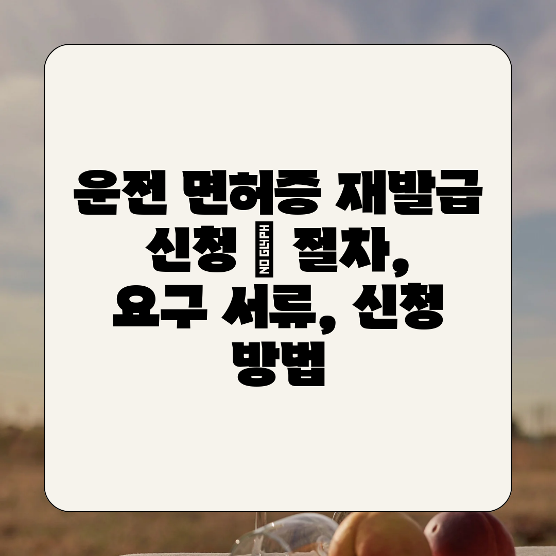 운전 면허증 재발급 신청  절차, 요구 서류, 신청 방