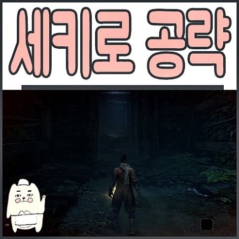  세키로 섀도우 다이 트와이스 공략 1편 아시나성 성하 시작