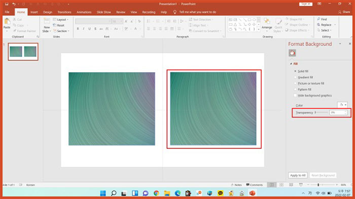 ppt 이미지 사진 투명도 조절하는 방법