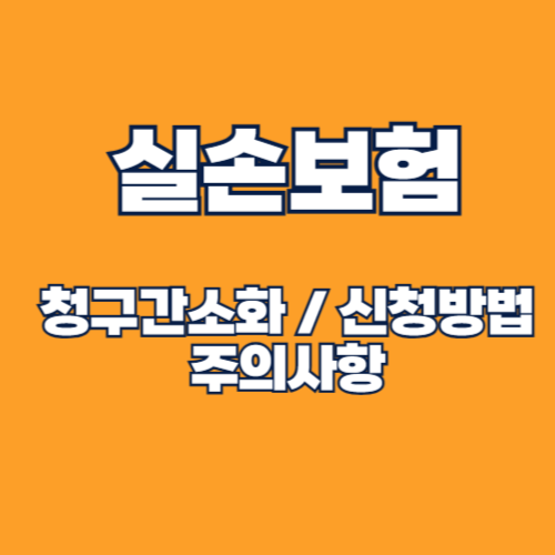 실손보험 청구 간소화 하는법 실손24 알아보기(2025년 약제비)