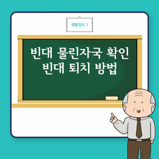 빈대 물린자국 확인 및 빈대 퇴치 방법