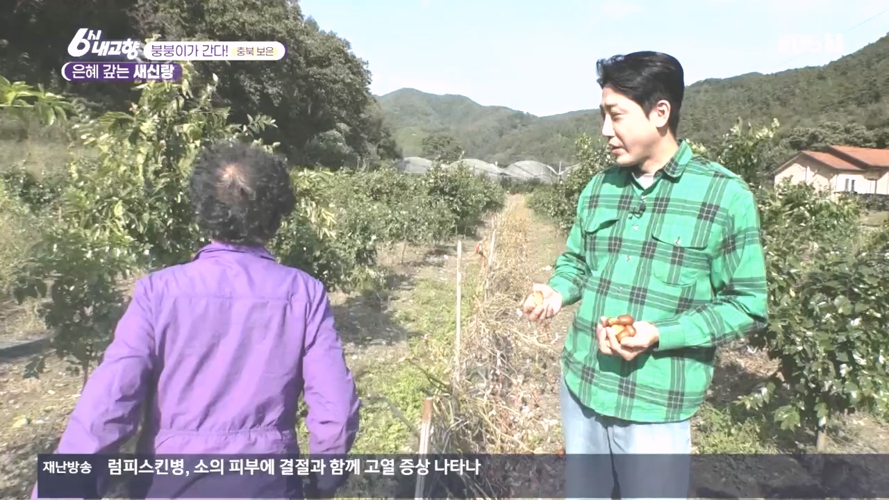 6시 내고향.E7896.231024p.H264-F1RST.mp4_20231024_204857.488.jpg
