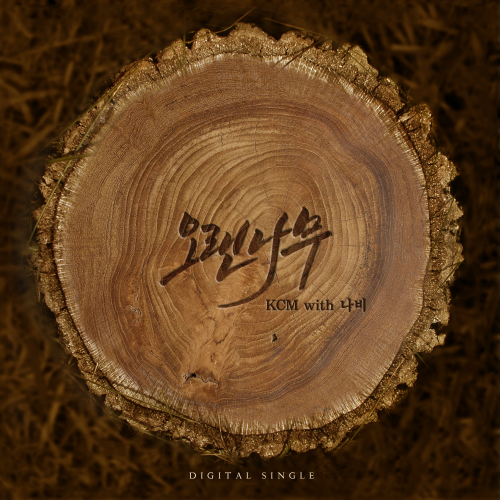  KCM 오랜나무 (Solo Ver.) 듣기/가사/앨범/유튜브/뮤비/반복재생/작곡작사