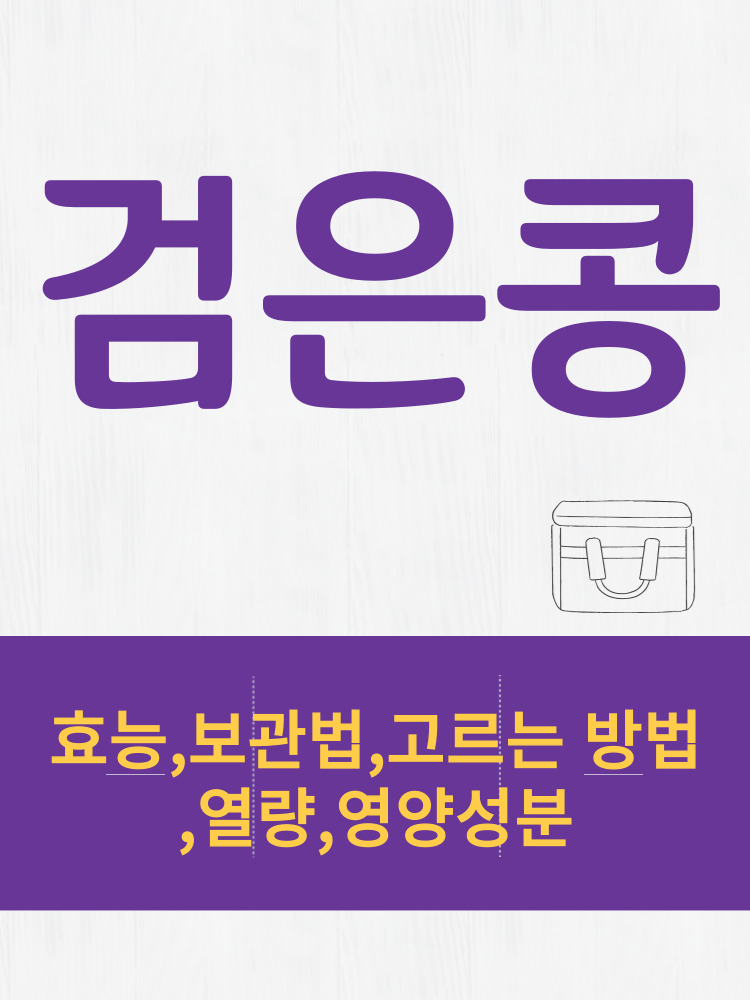  검은콩 효능 및 열량과 보관법 칼로리 총정리 