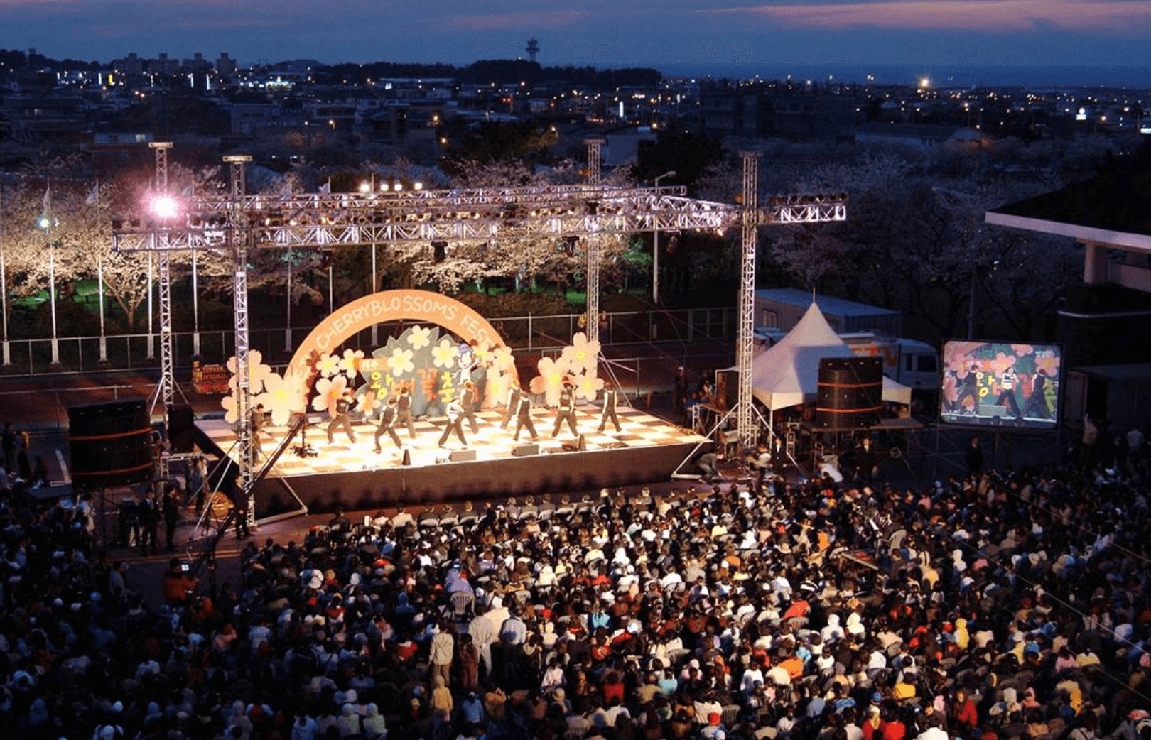 제주도 벚꽃축제