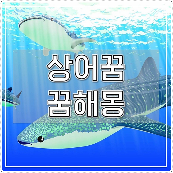  상어꿈 꿈해몽 태몽일까? 득남꿈 길몽
