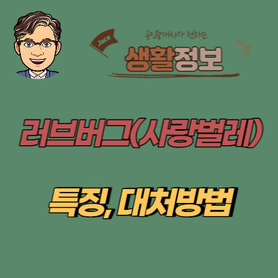 썸네일 러브버그 특징 대처방법 안내