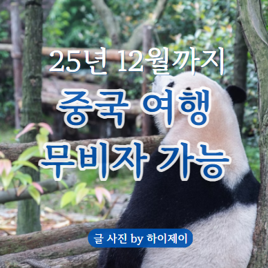 어디야 이미지