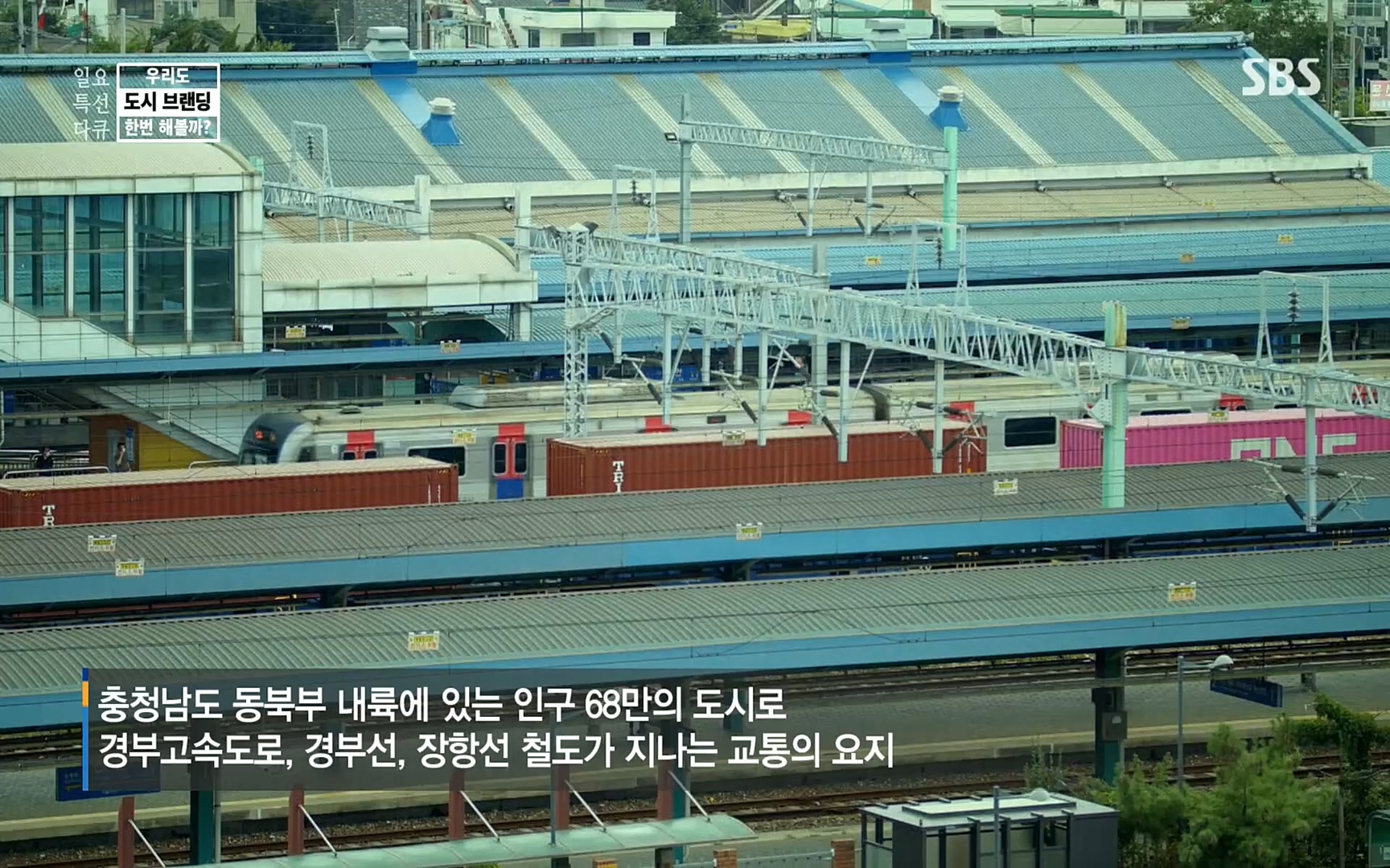 일요 특선 다큐멘터리.E287.220911p.H264-F1RST.mp4_20220912_135049.810.jpg