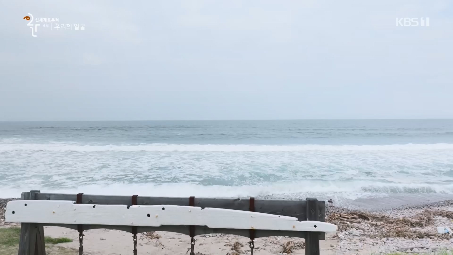 다큐 인사이트.E173.231130p.H264-F1RST.mp4_20231201_205332.817.jpg