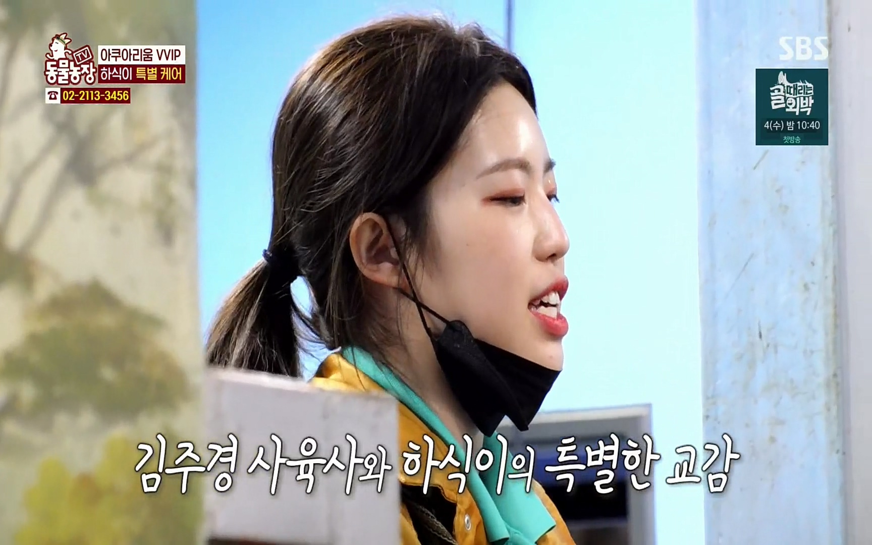 TV 동물농장.E1067.220501p.H264-F1RST.mp4_20220501_181616.512.jpg