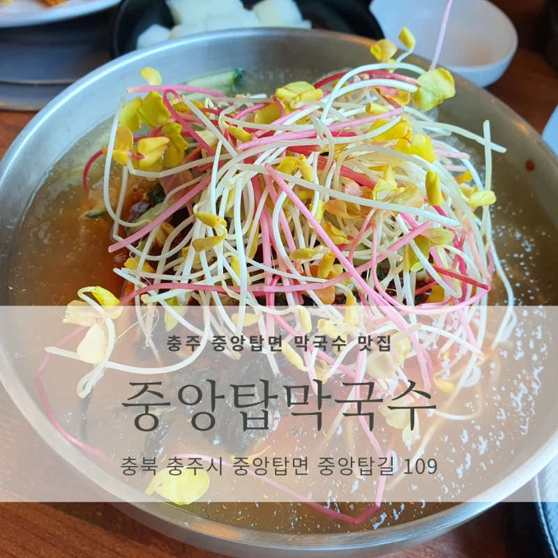  [충주 중앙탑면 막국수 맛집] 중앙탑막국수 (메밀 막국수, 메밀 치킨)
