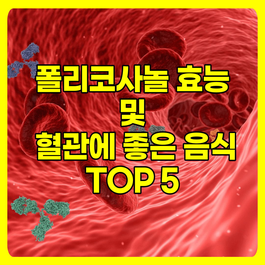  혈관건강 콜레스테롤 폴리코사놀 효능 및 풍부한 음식 TOP5