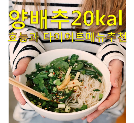  양배추 효능과 양배추로 만든 다이어트 메뉴 추천!