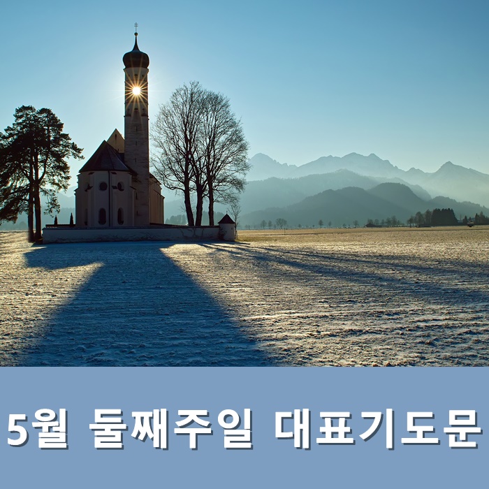  5월 둘째주일 대표기도문 모음