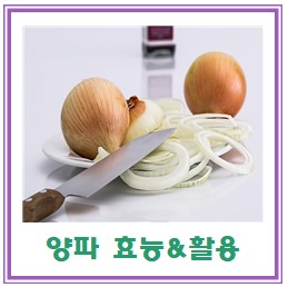 양파 효능&활용