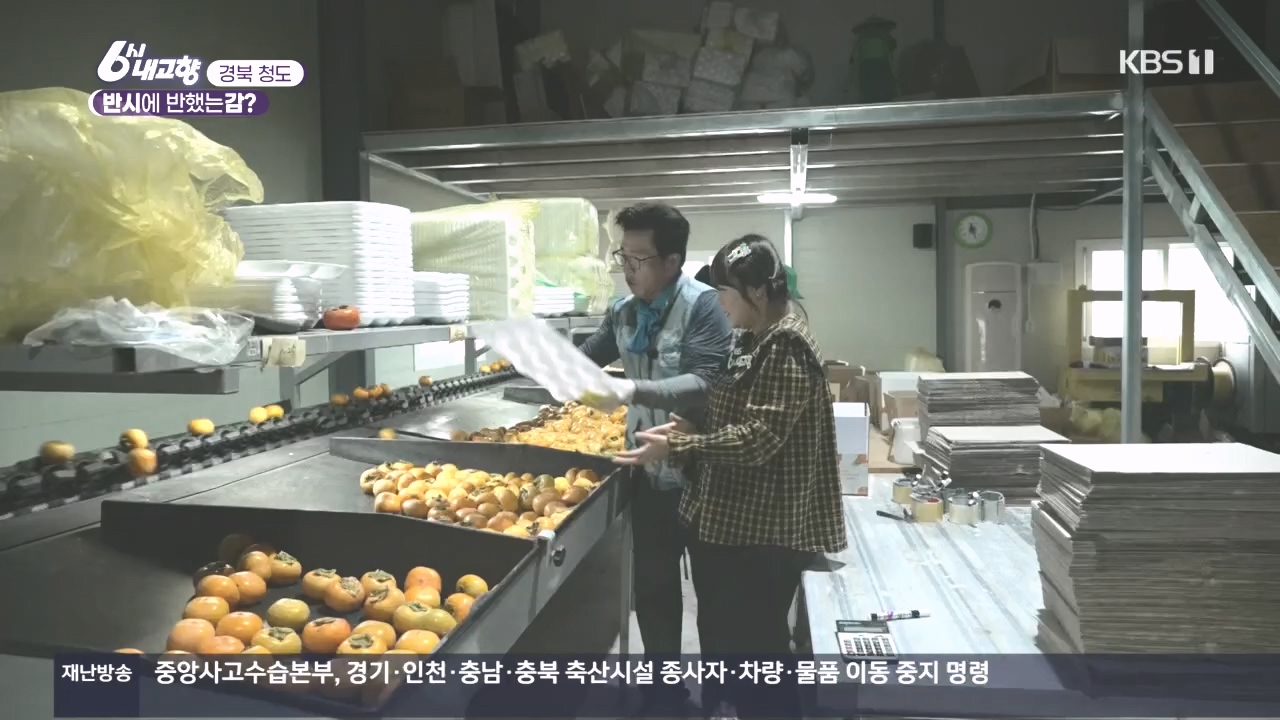 6시 내고향.E7896.231024p.H264-F1RST.mp4_20231024_204848.732.jpg