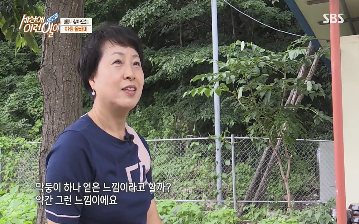 순간포착 세상에 이런일이.E1189.220720p-NEXT.mp4_20220720_200920.509.jpg